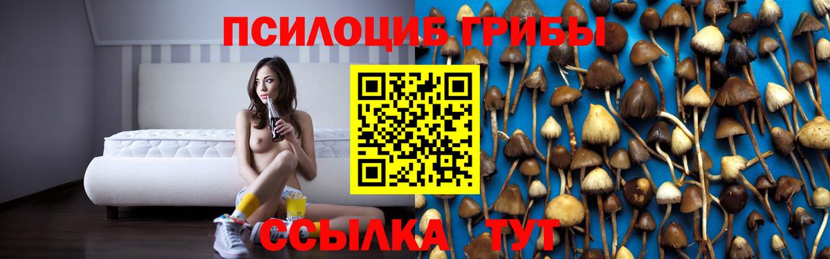 Норильск  сколько стоит  Вход с VPN  Галлюциногенные грибы мицелий  Галлюциногенные грибы прущие грибы 
